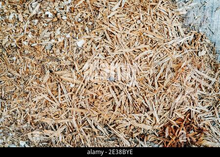 Piccola pila di trucioli di legno vecchio e fresco su una superficie di calcestruzzo. Angolo alto Foto Stock