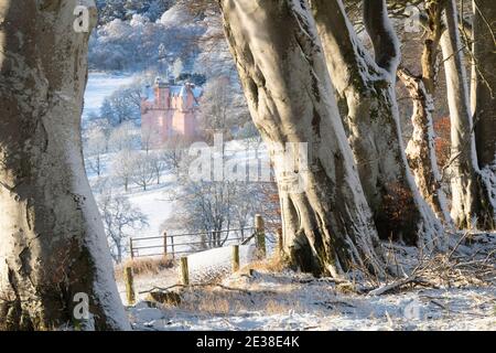 Una vista attraverso una linea di alberi di faggio (Fagus Sylvatica) Verso il Castello di Craigievar in una mattinata invernale innevata ad Aberdeenshire Foto Stock