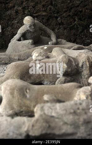 Calchi di gesso delle vittime, superati dalla furia dell'eruzione mentre cercavano un paesaggio, sono esposti nel Giardino dei fuggiaschi di Pompei, Italia meridionale, il 25 novembre 2010. L'antica città romana di Pompei, conservata in cenere vulcanica 2,000 anni fa, soffre di decadimento. Gli archeologi dicono che è rovinato da vandalismo, inquinamento e negligenza. I suoi tesori sono ora in grande pericolo di essere perduti per sempre. Il 6 novembre, la Casa dei Gladiatori di Pompei crollò e il resto della straordinaria città antica si trova in uno stato pericoloso. Pompei fu distrutta nel 79 d.C. da un'eruzione di M. Foto Stock