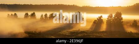 mattina foggy e nebbia con belle ombre sul fiume Foto Stock