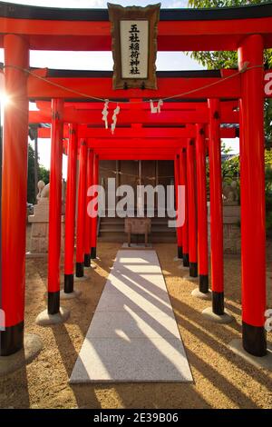 Le porte torii al Santuario di Kakinomoto sono un Santuario Shintoista ad Akashi, Prefettura di Hyogo, Giappone Foto Stock