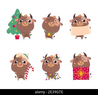 Set di carino cartone animato bue e mucche. Felice anno nuovo Illustrazione Vettoriale