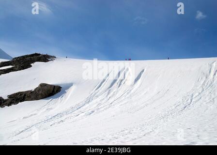 I turisti da una nave di spedizione Antartico crociera arrampicano una neve guida per scattare fotografie Foto Stock