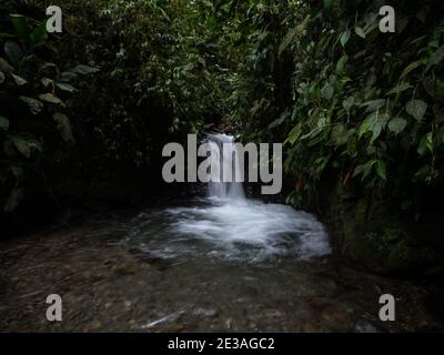 Vista panoramica della cascata Cascada Ondinas nella nuvola tropicale foresta Mindo valle giungla Nambillo Ecuador ande Sud America Foto Stock