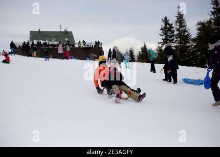 Skrzyczne, Polonia - Gennaio 17,2021 : persone che si rilassano nei Beskids della Slesia, a Skrzyczne e nelle piste da slitta e sci circostanti. Foto Stock