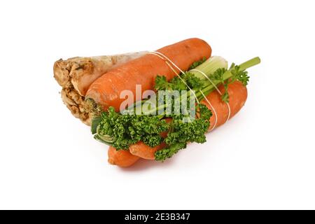 Un fascio di zuppe di verdure contenenti carote, porri, prezzemolo e radice di sedano isolati su sfondo bianco. Tradizionalmente venduto ai supermercati tedeschi Foto Stock