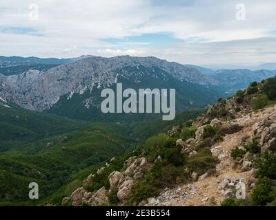 Veduta aerea del verde paesaggio forestale dei Monti Supramonte con rocce calcaree e vegetazione mediterranea, Regione Nuoro, Sardegna, Italia. Estate Foto Stock