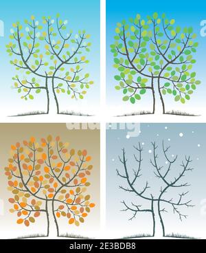 Primavera, estate, autunno, inverno. Illustrazione di un albero nel corso di un anno. Una metafora del tempo trascorso. Illustrazione Vettoriale