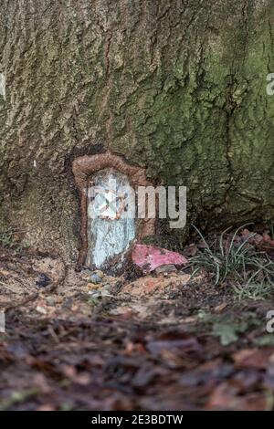 Northampton, Regno Unito, 18 gennaio 2021. Una porta Fantasy alla base di un grande albero in Abington Park, creatore sconosciuto. Credit: Keith J Smith./Alamy Live News Foto Stock