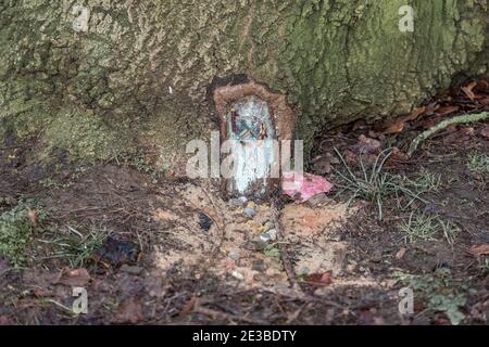 Northampton, Regno Unito, 18 gennaio 2021. Una porta Fantasy alla base di un grande albero in Abington Park, creatore sconosciuto. Credit: Keith J Smith./Alamy Live News Foto Stock