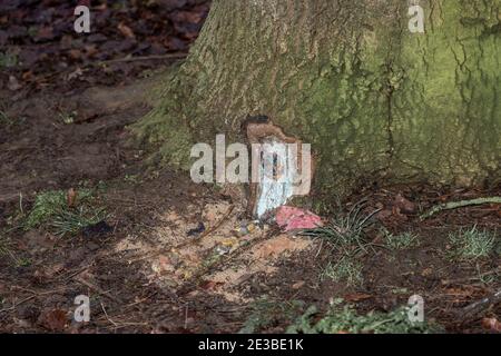 Northampton, Regno Unito, 18 gennaio 2021. Una porta Fantasy alla base di un grande albero in Abington Park, creatore sconosciuto. Credit: Keith J Smith./Alamy Live News Foto Stock