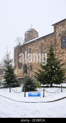 Colchester's Castle Park nella neve, con alberi di Natale di fronte e un cartello con la scritta "NHS". Foto Stock