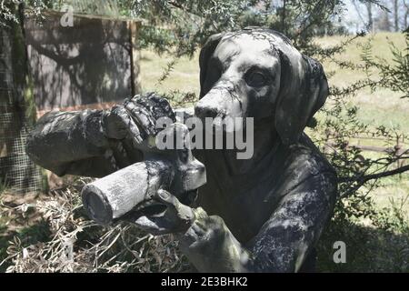 AUCKLAND, NUOVA ZELANDA - 15 gennaio 2021: Statua del fotografo di cane sneaky con la fotocamera Canon che si nasconde nel cespuglio Foto Stock