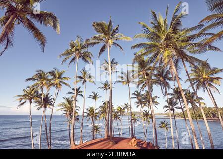 Immagine in tonalità retrò di un'isola tropicale con palme da cocco. Foto Stock