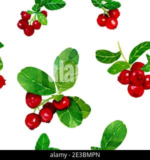 Cranberry e mirtillo senza cuciture motivo su sfondo bianco. Illustrazione disegnata a mano del colore acquerello del lingonberry e dei cespugli del blackberry. Design per copertura Foto Stock