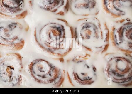 Primo piano di deliziosi panini alla cannella freschi Foto Stock