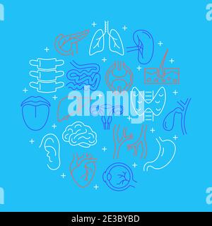 Banner circolare sugli organi interni umani in stile linea. Poster medico. Illustrazione vettoriale. Illustrazione Vettoriale