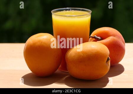 Albicocche e succo di albicocca appena spremuto in tazza di luce naturale Foto Stock