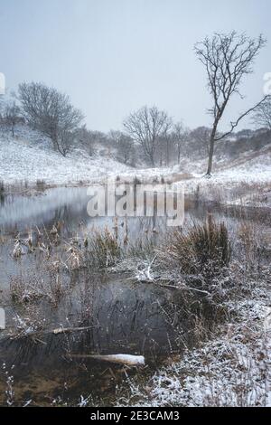 Inverno e neve nelle dune di Kijkduin, Paesi Bassi. Foto Stock