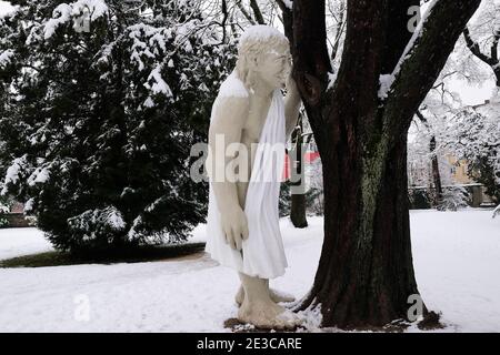 Neve, alberi, Kannenfeld Park, Basilea, Svizzera Foto Stock