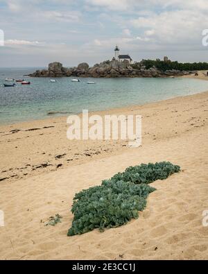 Faro De Pontusval in una giornata di sole in estate, spiaggia e rocce interessanti (Bretagna, Francia) Foto Stock