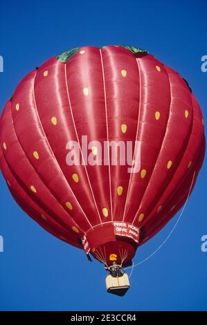 In mongolfiera ad aria calda, Mongolfiere sopra piega, piega, Oregon Foto Stock