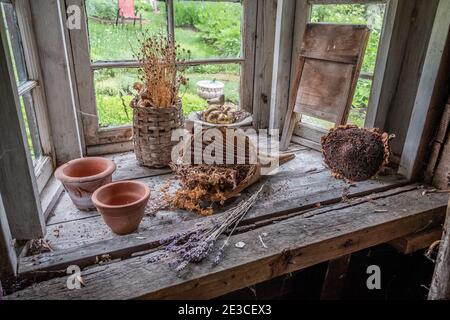 Una finestra in un capanno giardino a Pickity Place a Mason, New Hampshire Foto Stock