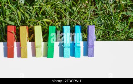 Un concetto di colore che aumenta l'umore, gli spicchi di legno multicolore in fila contro uno sfondo di erba verde e un foglio di carta vuoto. Mini creativo Foto Stock