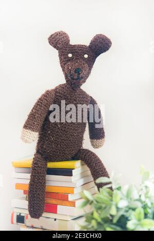 orso teddy in casa Foto Stock