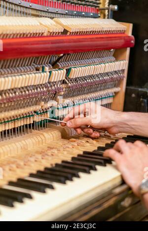 Impostazione di un piano vecchio. Il maestro ripara un vecchio pianoforte. Pulizia profonda del pianoforte. Mani di lavoratore professionista che riparano e sintonizzano un vecchio pianoforte Foto Stock