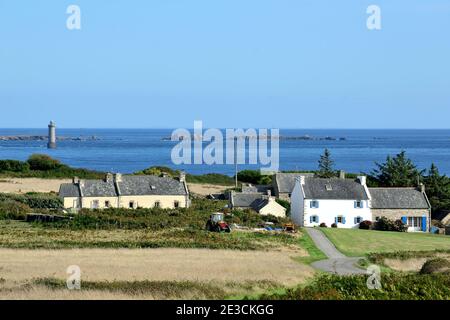 Ile d'Ouessant, Isola di Ushant (al largo delle coste della Bretagna, Francia nord-occidentale): Case tradizionali sull'isola e terreni agricoli Foto Stock