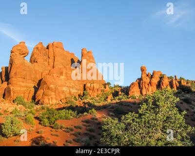 Pinne di arenaria intemperie, che iniziano a formare pinnacoli nella arida macchia del Parco Nazionale di Arches, Utah, USA, fotografate nella leida del mattino d'oro Foto Stock