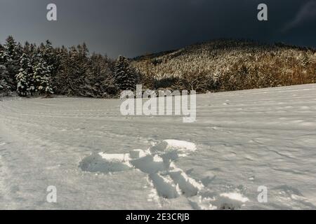 Angelo di neve nella neve fresca. Traccia dal corpo umano adulto in inverno Landscape.Print di copia corpo space.Crime scena in natura, forma di neve corpo Foto Stock