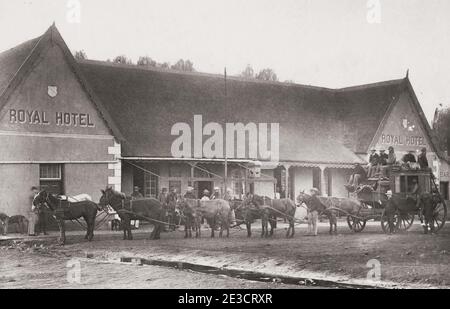 Fotografia d'epoca del XIX secolo: Carrozza e cavallo Goldfields, Royal Hotel, Potchefstroom, miniera d'oro del Sud Africa. Foto Stock