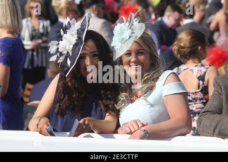 Ayr racecourse, Ayr, Ayrshire Scotland, Regno Unito Foto Stock