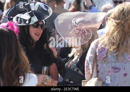 Ayr racecourse, Ayr, Ayrshire Scotland, Regno Unito Foto Stock