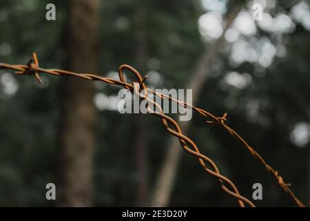 Primo piano di fili di recinzione arrugginiti che si incrociano tra loro Foto Stock