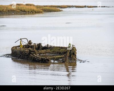 Antica barca, nave che si decompone nel cimitero delle barche vicino ad Appletore, Devon Nord. Foto Stock