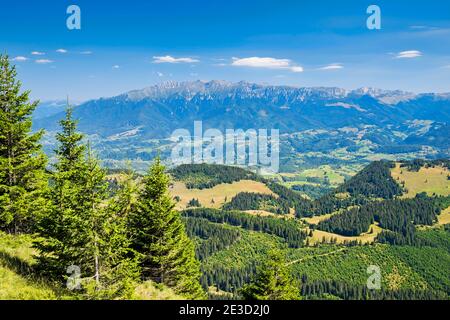Verde foresta e paesaggio roccioso di montagna nel massiccio di Piatra Craiului, paesaggio estivo aereo. Foto Stock
