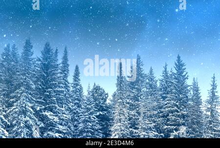 Notte magica con cielo stellato ower foresta civered da neve Foto Stock