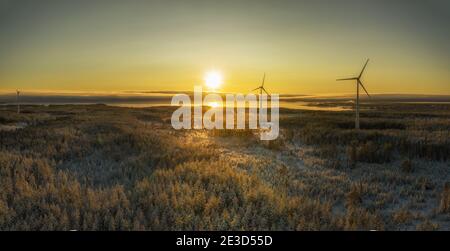 Spettacolare volare in aria leggermente foggy verso due turbine eoliche e tramonto invernale. Volare sopra la foresta di pini scandinavi inverno verso la costa marittima Foto Stock