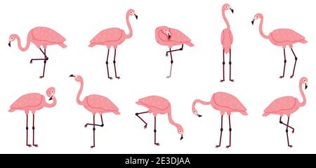 Fenicottero rosa. Uccelli esotici fenicotteri, piume di rosa caratteri animali africani set di illustrazione vettoriale. Carino cartone animato rosa fenicottero uccello Illustrazione Vettoriale