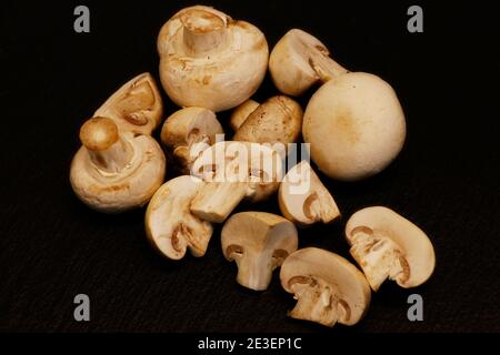 funghi bottoni bianchi interi, o agaricus su sfondo nero Foto Stock
