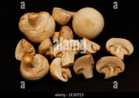funghi bottoni bianchi interi, o agaricus isolato su sfondo nero Foto Stock