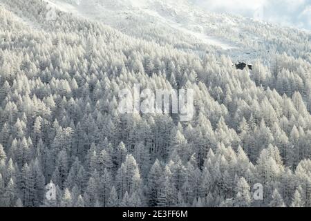 Un paesaggio invernale con solitaria capanna tra una foresta ghiacciata in Svizzera. Foto Stock