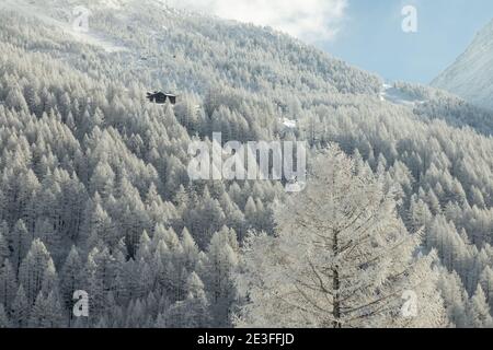 Un paesaggio invernale con solitaria capanna tra una foresta ghiacciata in Svizzera. Foto Stock