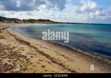 Spiaggia di Torre Guaceto all'interno dell'Area Marina protetta di Torre Guaceto e. Riserva naturale a Serranova Puglia Puglia Puglia Puglia Italia durante un luminoso Giorno di sole Foto Stock