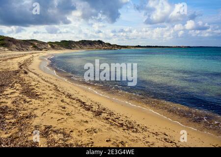 Spiaggia di Torre Guaceto all'interno dell'Area Marina protetta di Torre Guaceto e. Riserva naturale a Serranova Puglia Puglia Puglia Puglia Italia durante un luminoso Giorno di sole Foto Stock