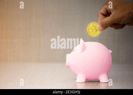 Mano mettendo moneta d'oro a banca piggy su sfondo grigio. Con copia space.Saving investimento concetto Foto Stock