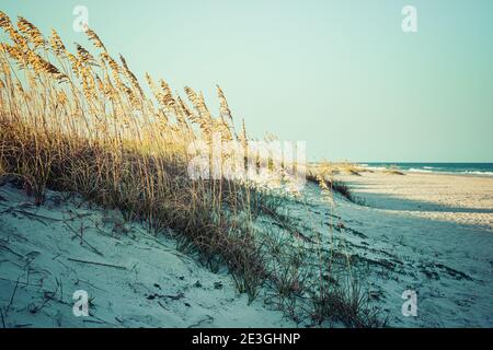 Una tranquilla e pallida vista dell'erba marina che copre le dune in primo piano con un lontano Oceano Atlantico sulla spiaggia di Fernandina, sull'Isola di Amelia, FL Foto Stock